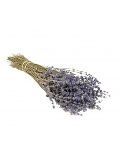 copy of Flores secas “Encanto Rojo”