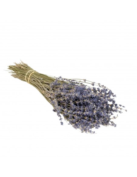 copy of Flores secas “Encanto Rojo”