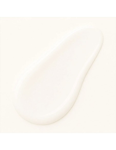 copy of Difusor 100% Madera de Loto