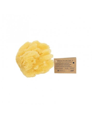 copy of Paquete de 5 discos faciales lavables de celulosa/algodón Anaé