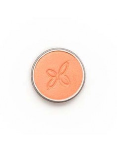 Sombra de ojos nacarada 208 Carotte BOHO 2